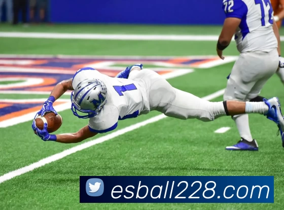 esballE世博官网平台生态图